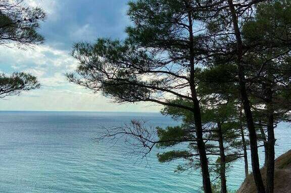 Изображение Изображение гостиницы "Гостевой дом «Сказка у моря»" #7 #7