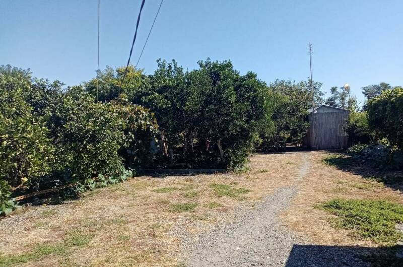 Изображение Изображение гостиницы &quot;Гостевой дом «В гостях У Шушаны»&quot; #4 #4