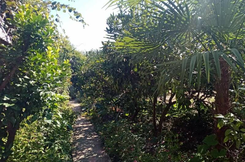 Изображение Изображение гостиницы &quot;Гостевой дом «В гостях У Шушаны»&quot; #7 #7