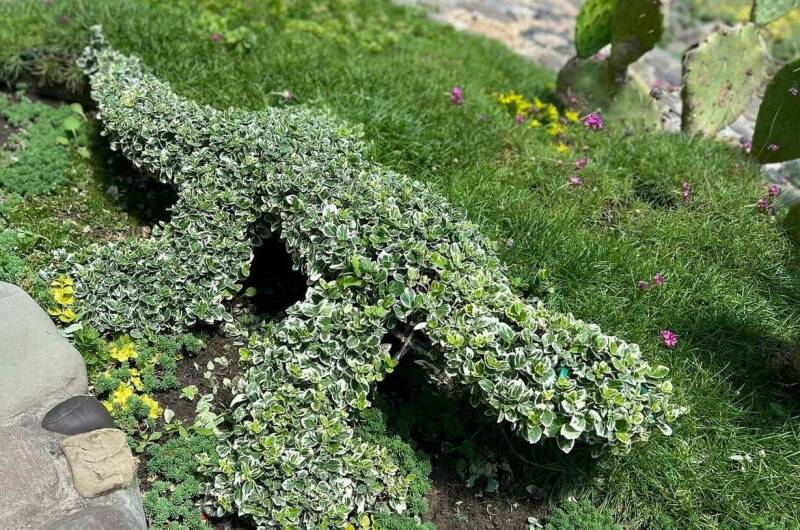 Изображение Изображение гостиницы &quot;Отель «Лоза»&quot; #3 #3