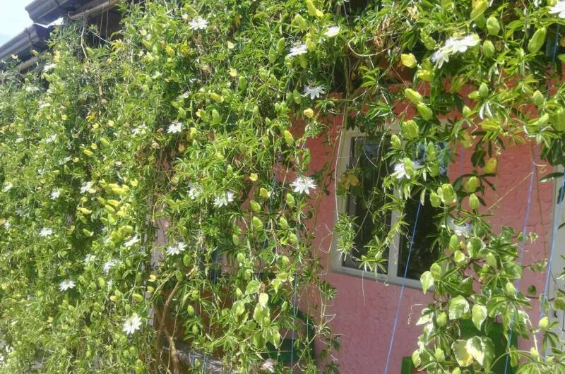 Изображение Изображение квартиры &quot;Жилой дом на Шаумяна&quot; #6 #6