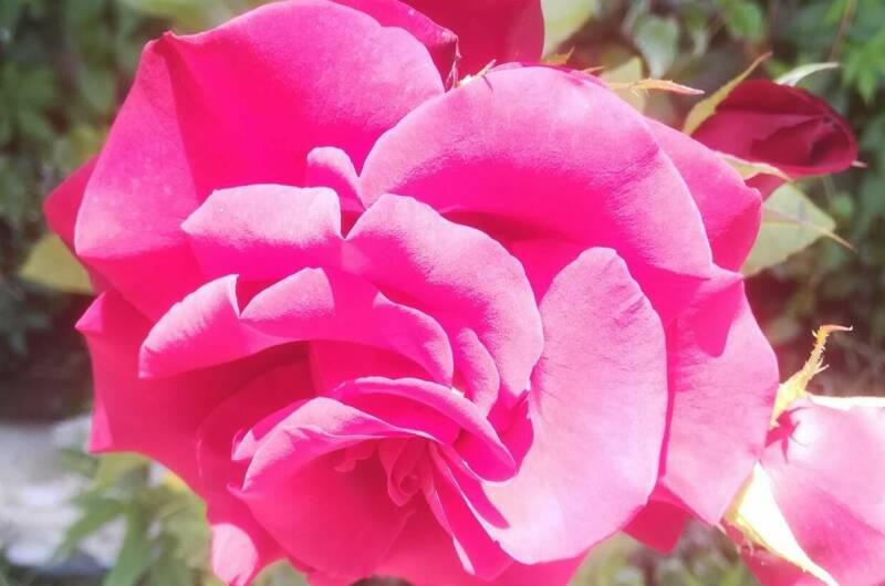 Изображение Изображение квартиры &quot;Жилой дом на Шаумяна&quot; #8 #8