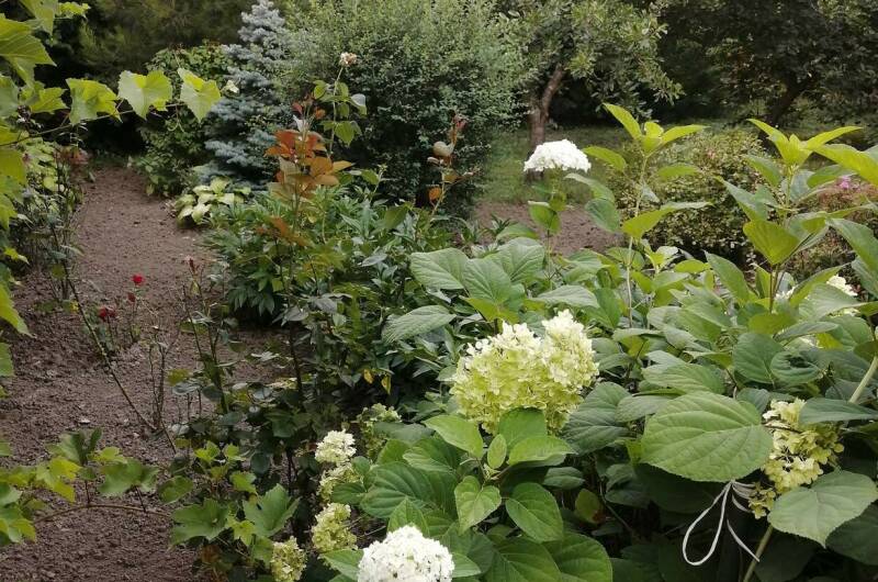 Изображение Изображение квартиры "Коттедж под ключ 200 кв. до 12 человек" #4 #4