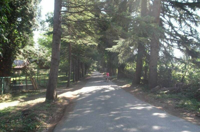 Изображение Изображение квартиры &quot;Квартира в Цитрусовом&quot; #5 #5