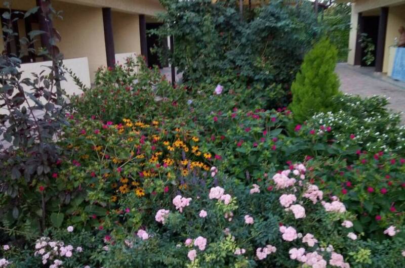 Изображение Изображение гостиницы &quot;Гостевой дом «Солнечный»&quot; #4 #4