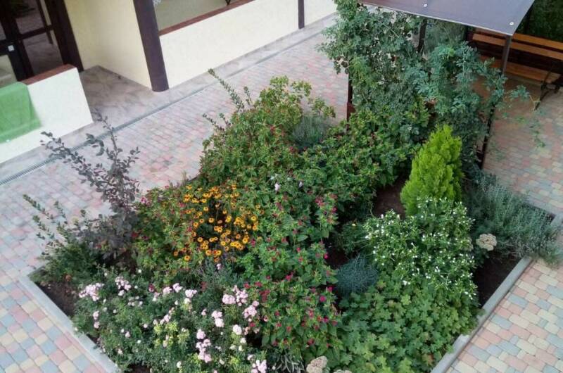 Изображение Изображение гостиницы &quot;Гостевой дом «Солнечный»&quot; #7 #7