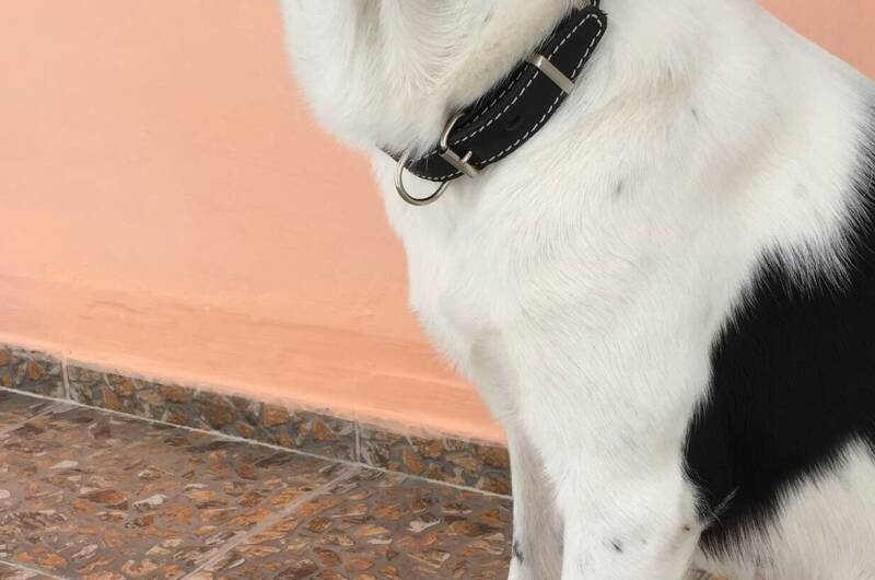 Изображение Изображение гостиницы &quot;Гостевой дом «Элина»&quot; #6 #6