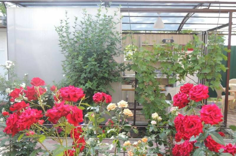 Изображение Изображение гостиницы &quot;Гостевой дом «Relax»&quot; #4 #4