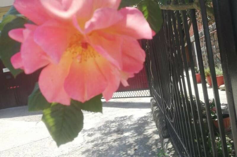 Изображение Изображение гостиницы &quot;Гостевой дом «Фишт»&quot; #8 #8