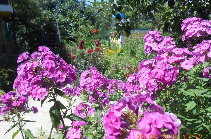 Изображение Изображение квартиры &quot;2-х комнатные апартаменты в частном секторе&quot; #5 #5