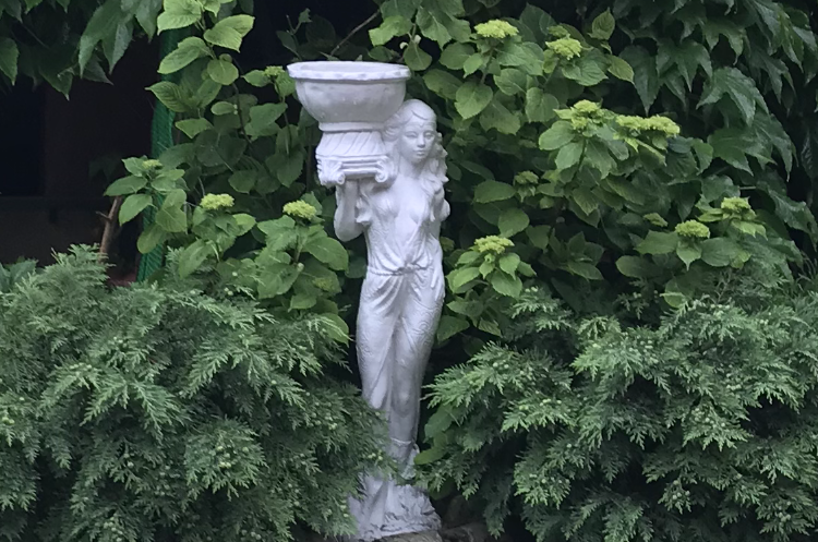 Изображение Изображение гостиницы &quot;Гостевой дом «Дельфин»&quot; #1 #1