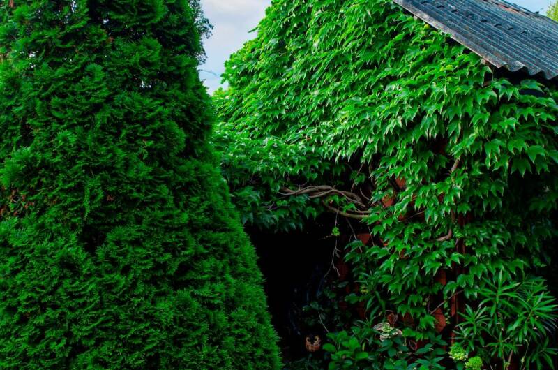 Изображение Изображение гостиницы &quot;Гостевой дом «Дельфин»&quot; #2 #2