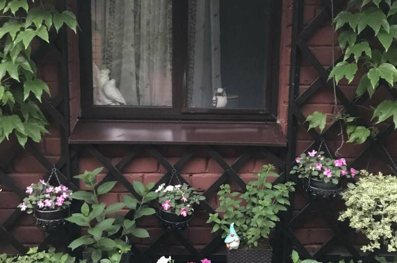 Изображение Изображение гостиницы &quot;Гостевой дом «Дельфин»&quot; #5 #5