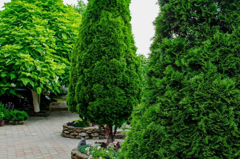 Изображение Изображение гостиницы &quot;Гостевой дом «Дельфин»&quot; #6 #6