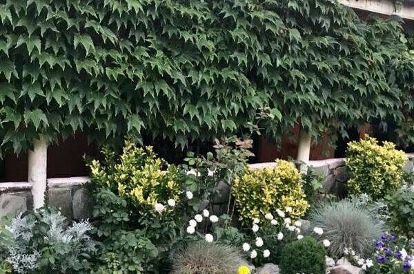 Изображение Изображение гостиницы &quot;Гостевой дом «Дельфин»&quot; #8 #8