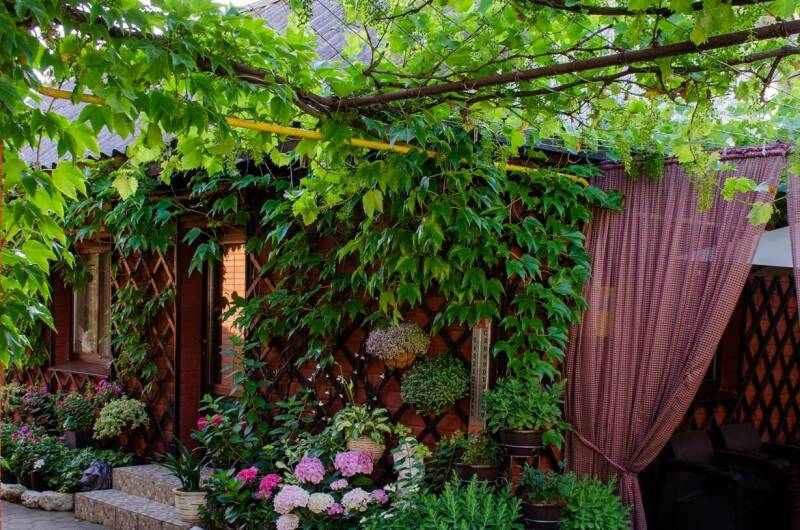 Изображение Изображение отеля / гостиницы "Гостевой дом «Дельфин»" #10 #8