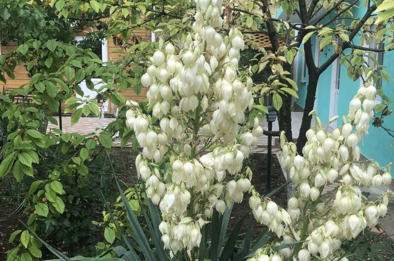 Изображение Изображение гостиницы &quot;Гостевой дом на Интернациональной&quot; #2 #2