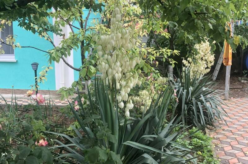 Изображение Изображение отеля / гостиницы "Гостевой дом на Интернациональной" #11 #9