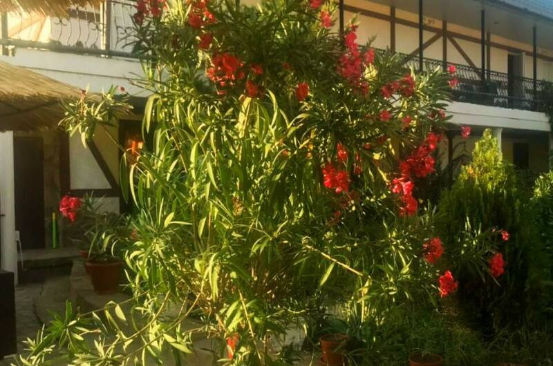 Изображение Изображение гостиницы &quot;Гостевой дом «Муравейник»&quot; #5 #5