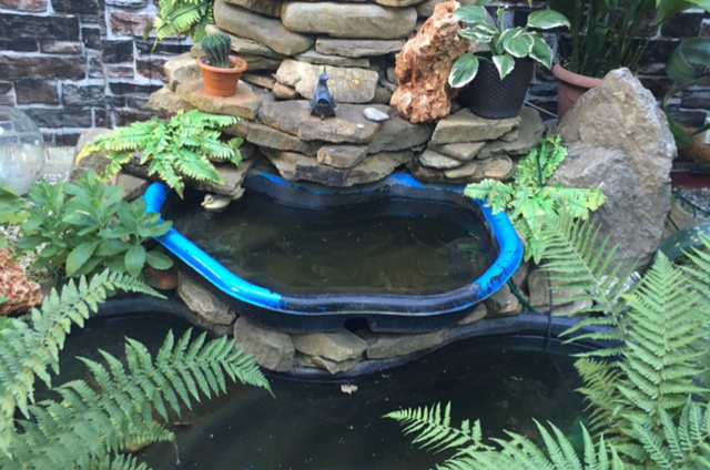 Изображение Изображение гостиницы &quot;Гостевой дом «Арма»&quot; #3 #3