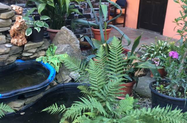 Изображение Изображение гостиницы &quot;Гостевой дом «Арма»&quot; #6 #6