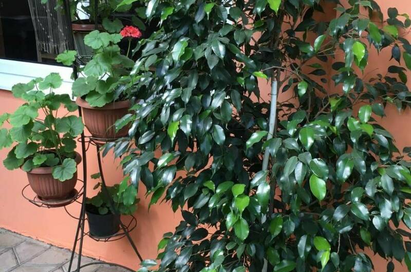 Изображение Изображение отеля / гостиницы "Гостевой дом «Арма»" #10 #8