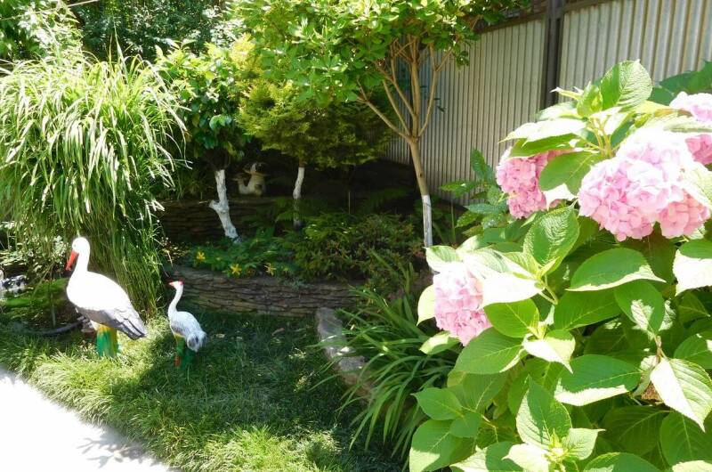 Изображение Изображение гостиницы &quot;Гостевой дом у самого моря «Свирель»&quot; #8 #8