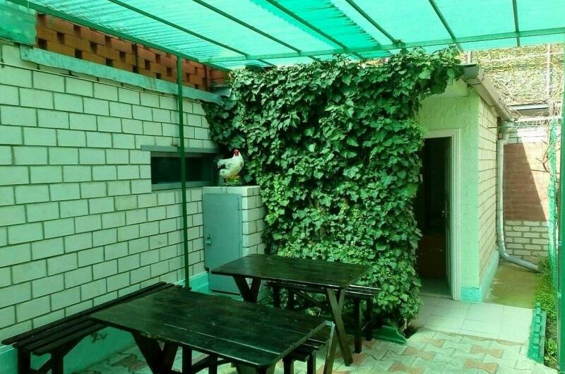 Изображение Изображение отеля / гостиницы "Гостевой дом «Море»" #10 #8