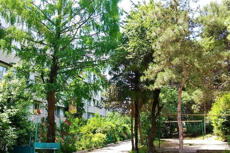 Изображение Изображение квартиры &quot;Двухкомнатная квартира ул. Павлова&quot; #3 #3