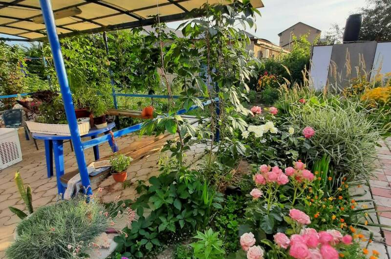 Изображение Изображение гостиницы "Гостевой дом «Нептун»" #2 #2