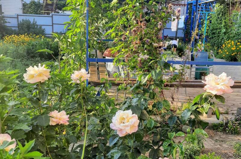 Изображение Изображение гостиницы "Гостевой дом «Нептун»" #8 #8