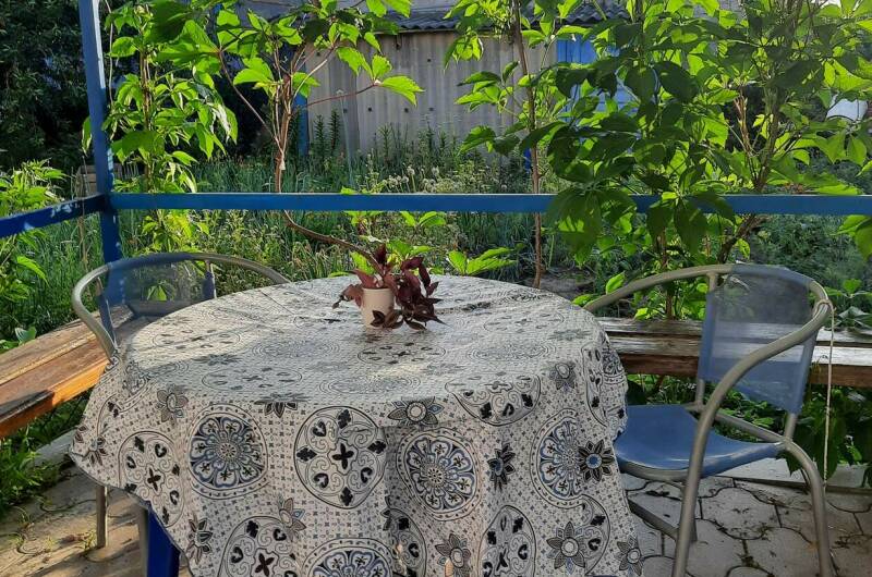 Изображение Изображение отеля / гостиницы "Гостевой дом «Нептун»" #10 #8