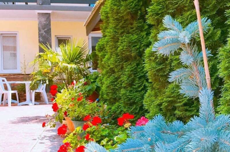 Изображение Изображение гостиницы &quot;Гостевой дом «Адель»&quot; #5 #5