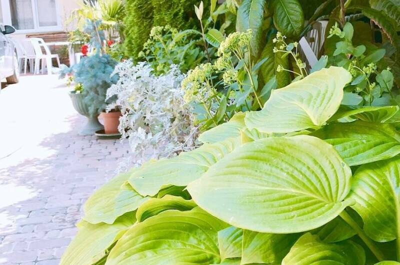 Изображение Изображение гостиницы &quot;Гостевой дом «Адель»&quot; #7 #7