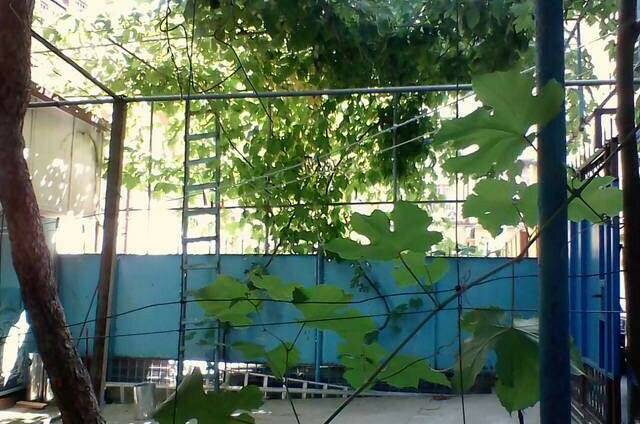 Изображение Изображение гостиницы "Частный сектор «Старые сказки»" #3 #3