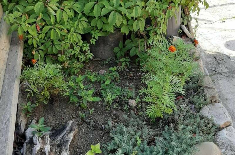 Изображение Изображение гостиницы &quot;Гостевой дом «Причал»&quot; #3 #3