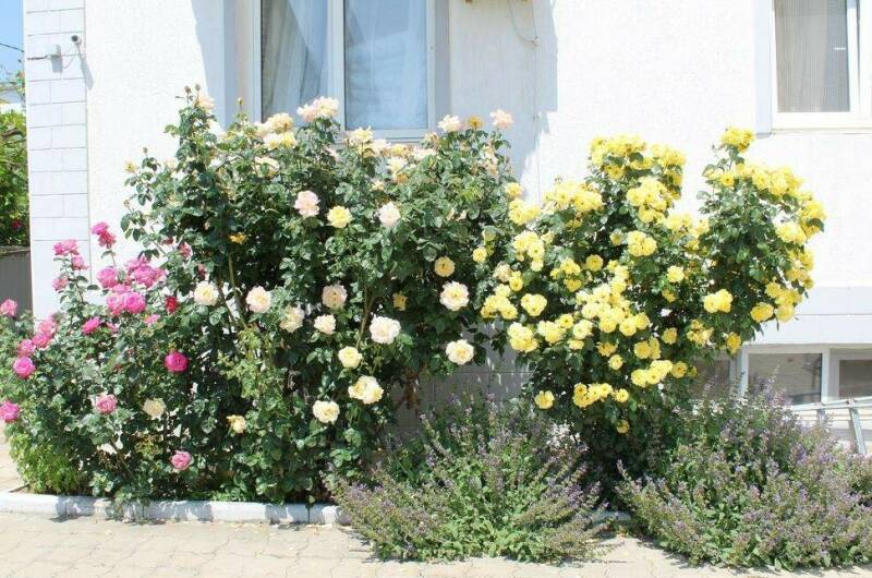 Изображение Изображение гостиницы &quot;Гостевой дом «Лидия»&quot; #7 #7