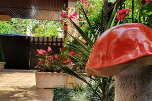 Изображение отеля / гостиницы "Частный сектор «Анна»"