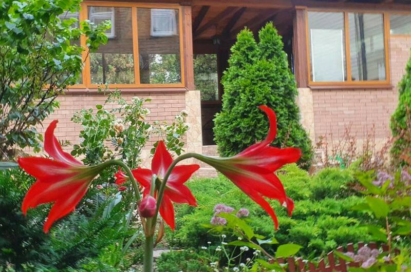 Изображение Изображение гостиницы &quot;Частный сектор «Анна»&quot; #2 #2