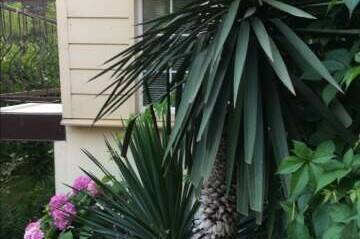 Изображение Изображение квартиры / апартамента "Комната в частном доме" #10 #8