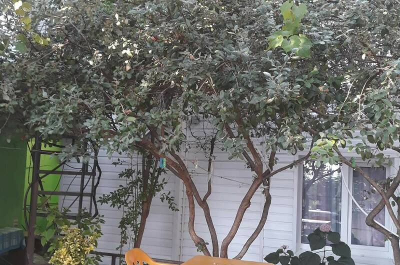 Изображение Изображение гостиницы &quot;Частный сектор «У Натальи»&quot; #3 #3