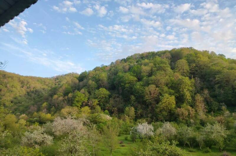 Изображение Изображение квартиры "Гостинный дом «Кетук»" #5 #5