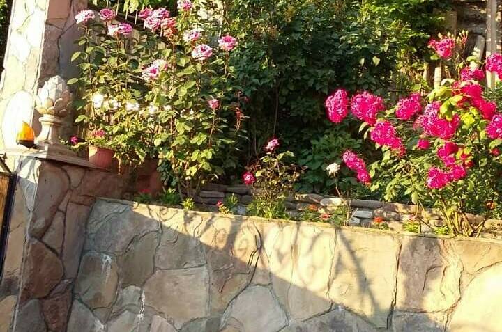 Изображение Изображение квартиры / апартамента "Гостинный дом «Кетук»" #11 #9