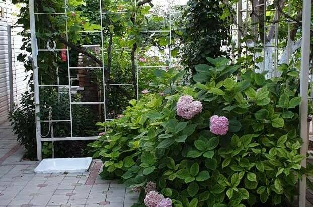 Изображение Изображение гостиницы "Усадьба на Горького" #4 #4