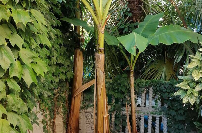 Изображение Изображение гостиницы "Частный дом «На Набережной»" #3 #3