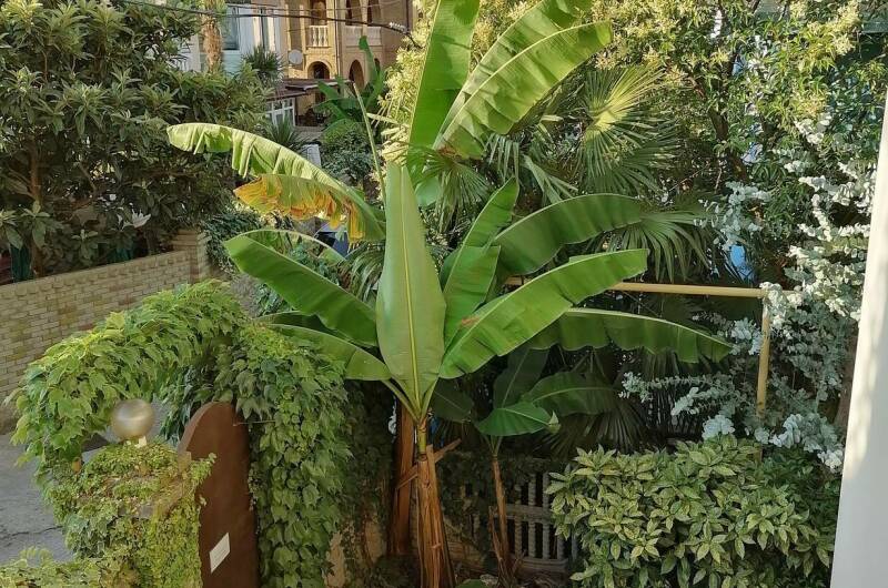 Изображение Изображение гостиницы "Частный дом «На Набережной»" #6 #6