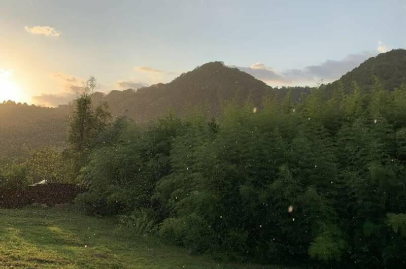 Изображение Изображение квартиры / апартамента "Дом под ключ «Лес и море»" #11 #9