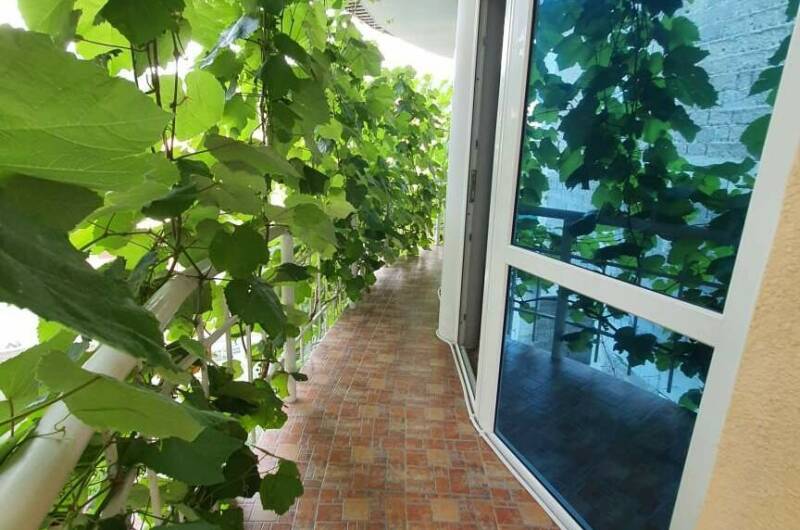 Изображение Изображение гостиницы &quot;Гостевой дом «Оскар»&quot; #7 #7