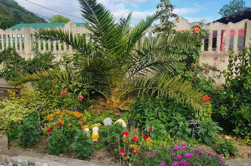 Изображение Изображение гостиницы &quot;Гостевой дом «Breeze»&quot; #6 #6