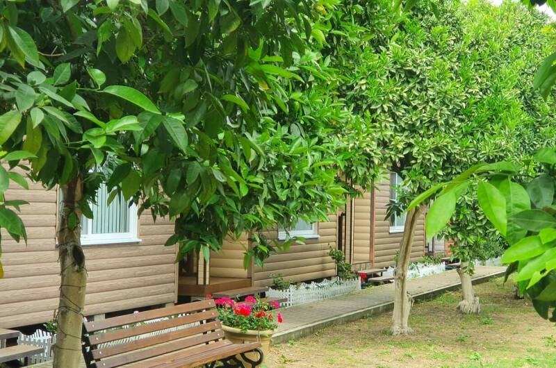 Изображение Изображение отеля / гостиницы "Гостевой дом «Breeze»" #10 #8